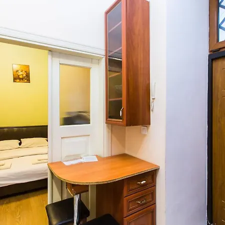 подобово у центрі львова вулиця замарстинівська 5 Apartment *